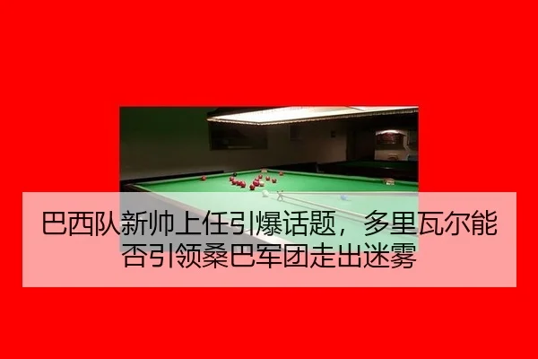 ba-xi-dui-xin-shuai-shang-ren-yin-bao-hua-ti-duo-li-wa-er-neng-fou-yin-ling-sang-ba-jun-tuan-zou-chu-mi-wu-2-953.jpg