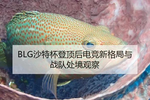 BLG沙特杯登顶后电竞新格局与战队处境观察